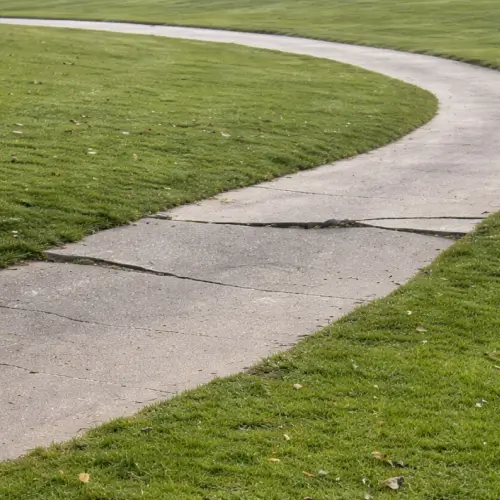 cart-path-repair-poblem-2