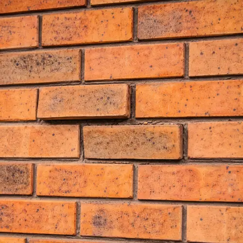 moisture-loose--brick