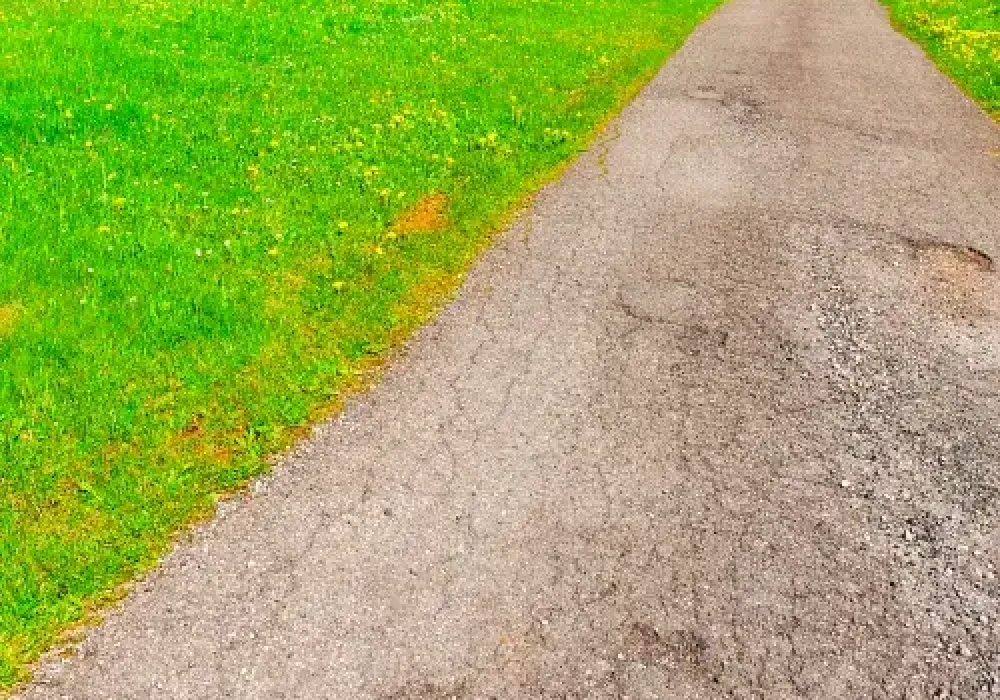 cart-path-cracked