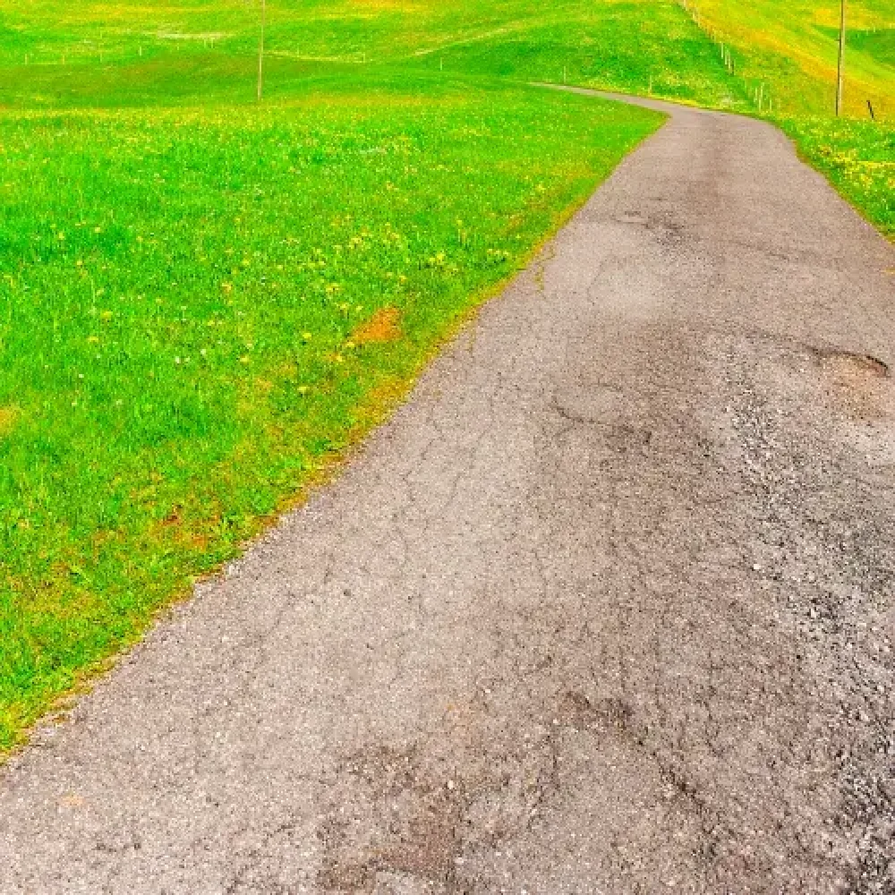 cart-path-cracked