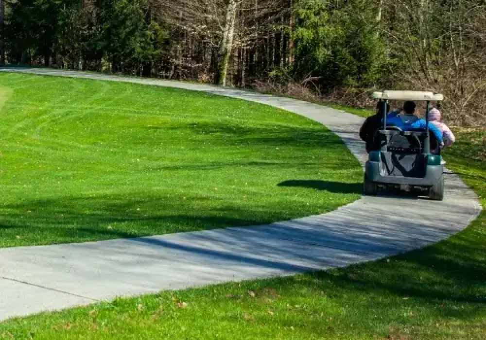 cart-path-leveling